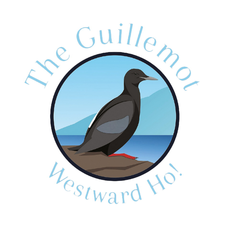 GUILLEMOT BAR WESTWARD HO